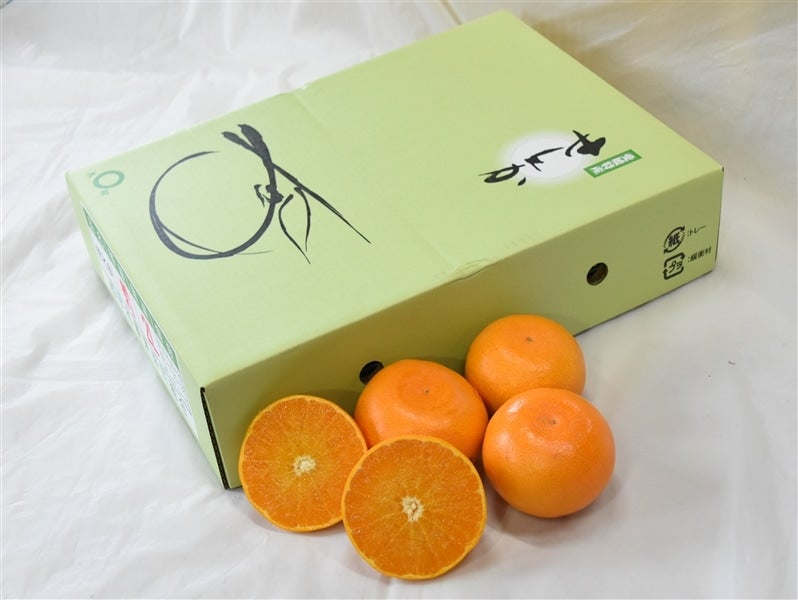 せとか (化粧箱L15玉～4L8玉・施設栽培）JAにしうわ 【発送