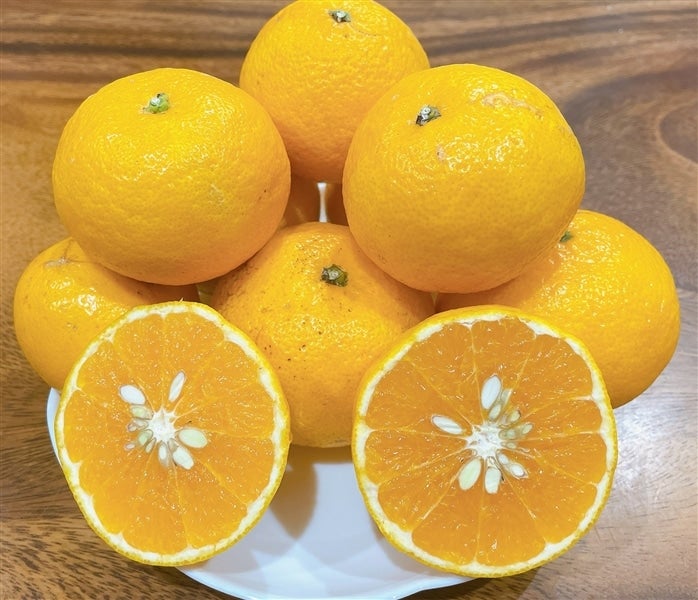 ひめのつき」ご家庭用 約2kg（2S～2L混合）☆愛媛オリジナル