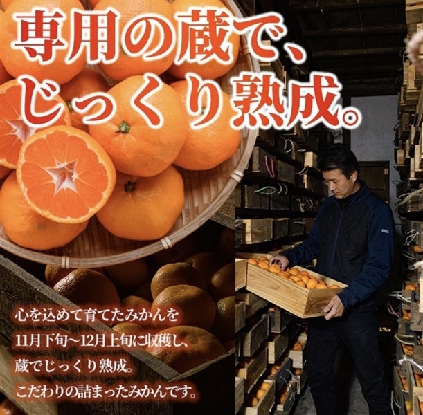 みかんページ みかん様 ミカン みかんページ ミカン様 ミカン様 蜜柑様