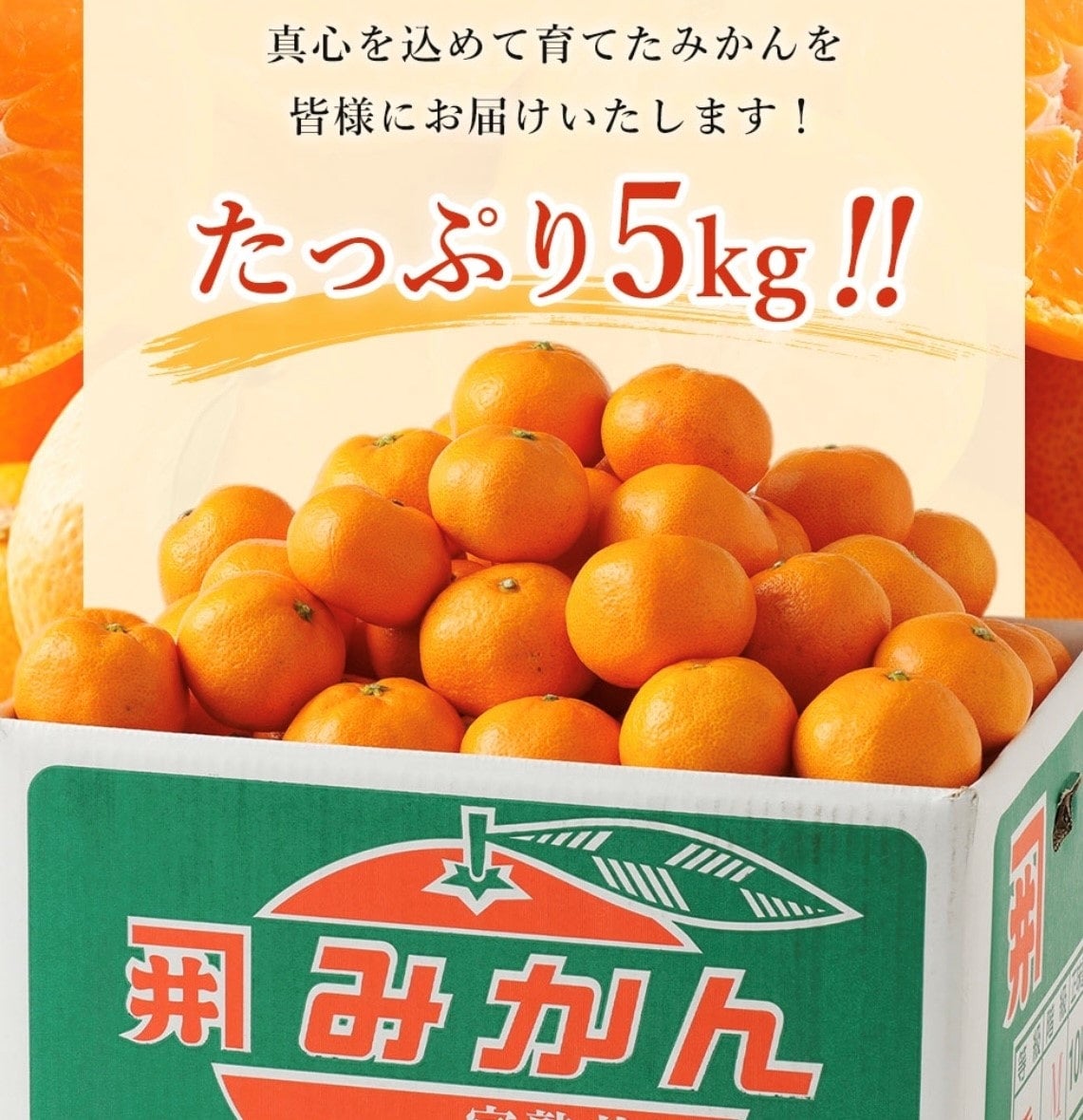 農家直送！井上農園みかん 秀品5kg（大分県宇佐市産 早生みかん