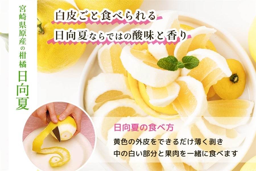 宮崎県産 日向夏 小説「薬屋のひとりごと」コラボパッケージ 2.5㎏×2