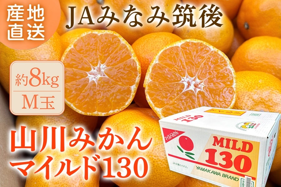 2025年10月予約開始予定】◎JAみなみ筑後 山川みかん『マイルド130』M