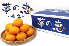 特選みかん「夢の恵」品種：青島みかん（Lサイズ・4㎏入）: JA熊本市