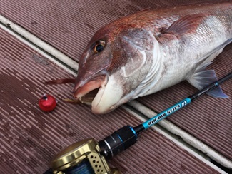 ビンビンスティックHS