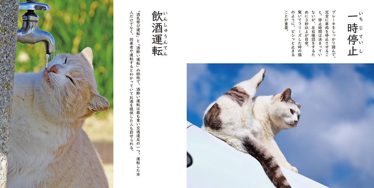 猫好きにおくる交通まにゃ～ぶっく | JAFメディアワークス