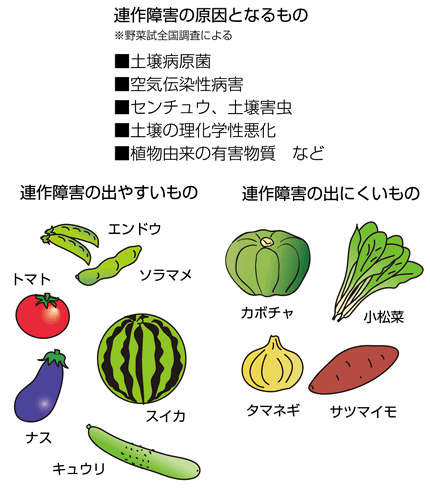 連作障害を防ぐ – JAいがふるさと