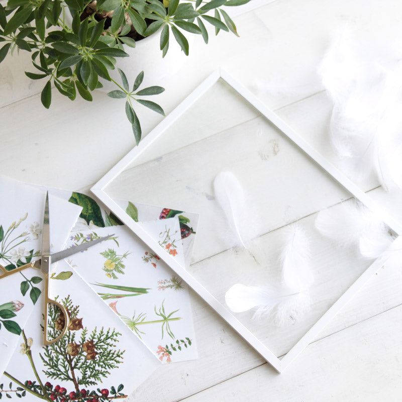 MOEBE FRAME(ポスターフレーム) A4 ホワイト 通販 | FULLangle(フル