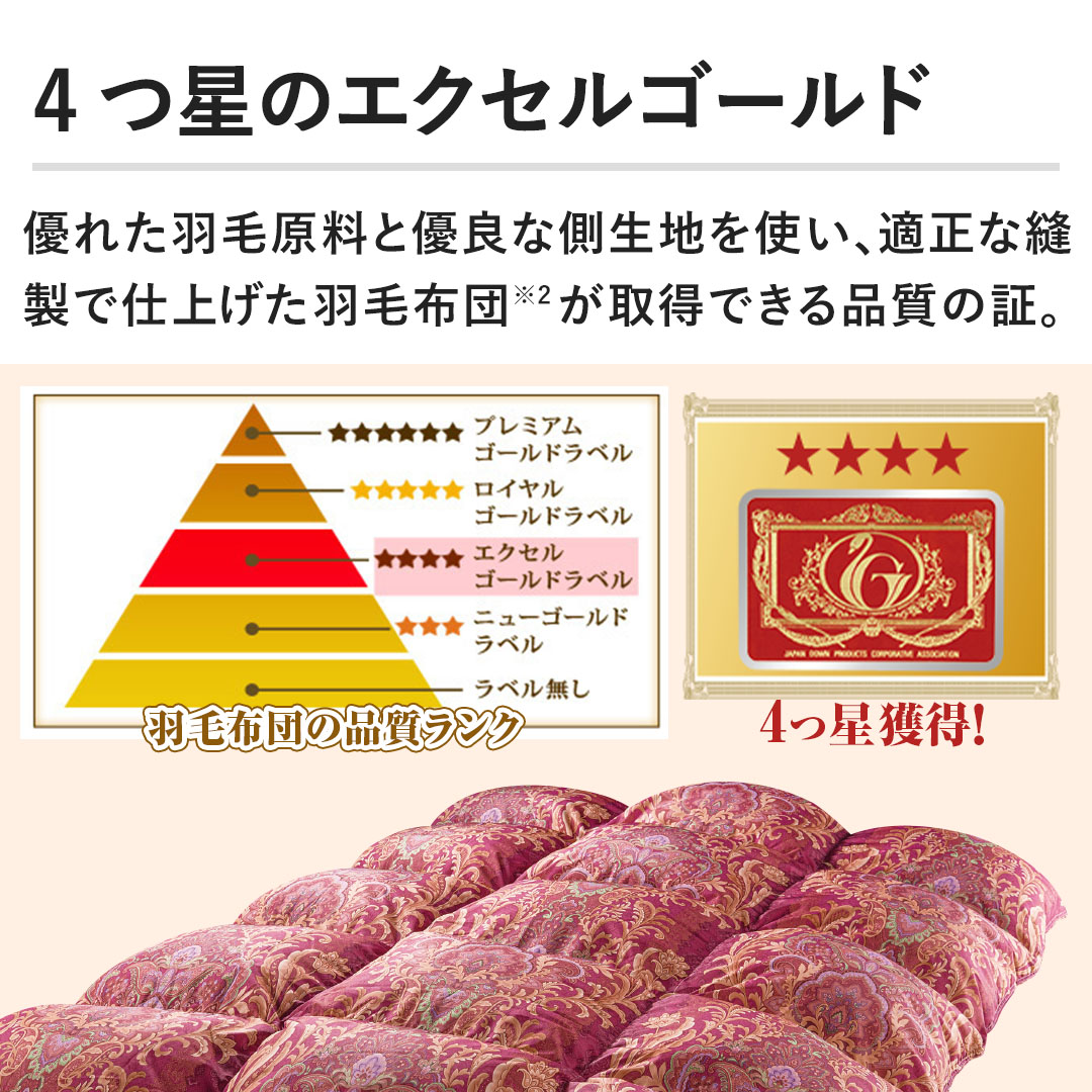 モリリン 布団・快眠グッズ フランス産ダウン85％羽毛布団 ダブル