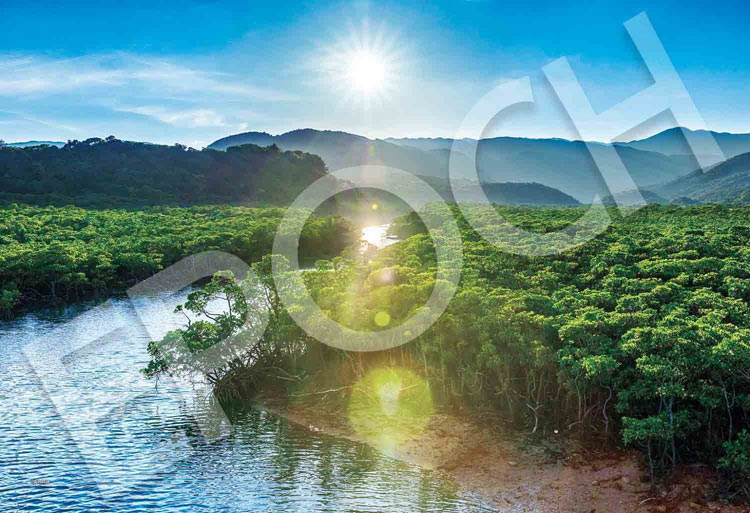 EPO-26-361s 風景 西表島［日本］ 300ピース ［CP-NT］ ［CP-WH］ ［CP