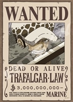 ENS-208-144 ワンピース 死の外科医 トラファルガー・ロー 208ピース