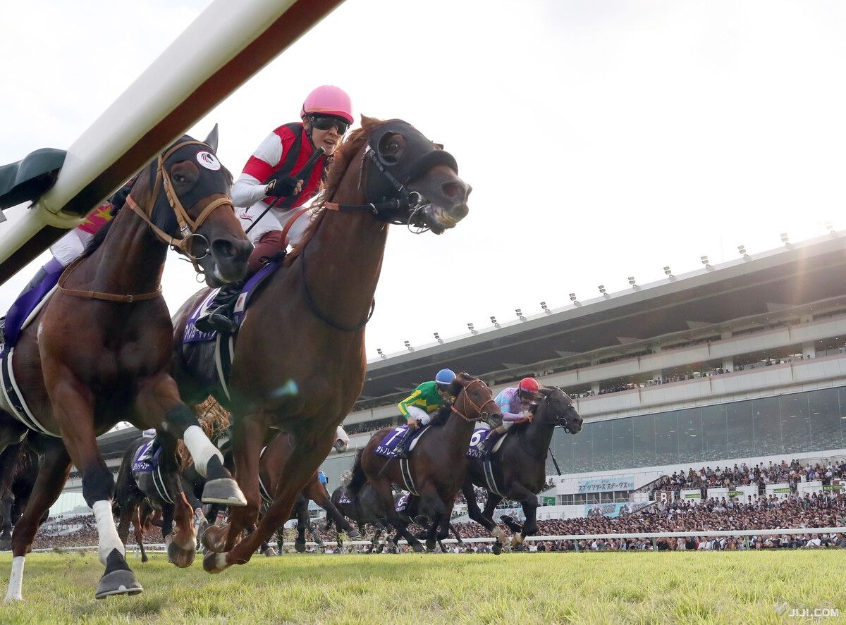 画像・写真：ウインカーネリアンV 三浦騎手、18年目で初GI―競馬