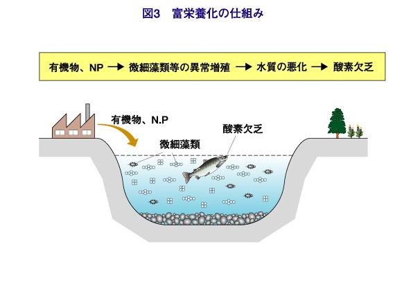 農芸化学という学問と社会