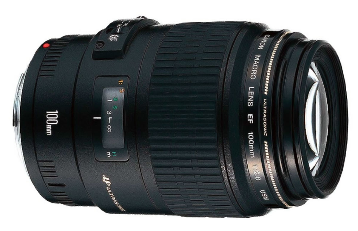 Canon EF 100mm f/2.8 Macro USM : Specifications and Opinions