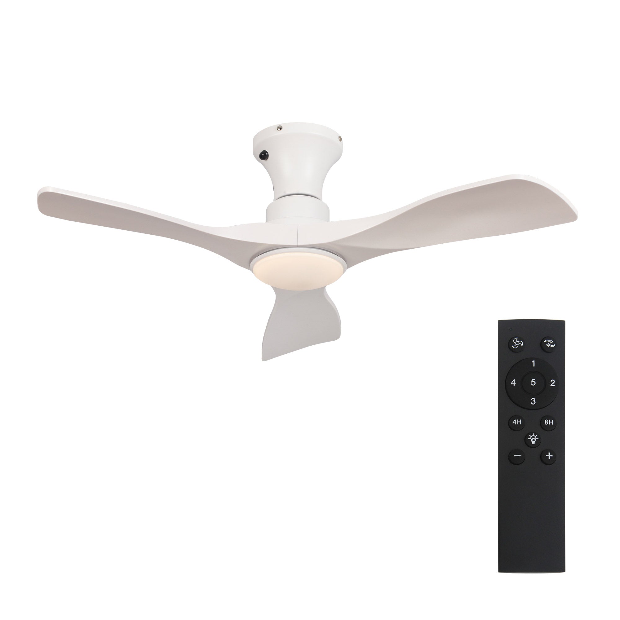 新着 – JPN Parrot Uncle