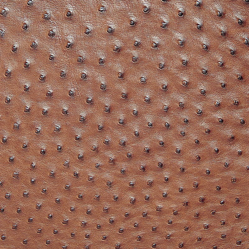 オーストリッチ革の種類・特徴】革の種類と知識 ｜ エキゾチックレザー