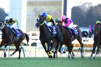 JRAホームページ｜データファイル｜競走成績データ