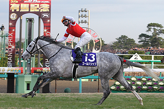 JRAホームページ｜データファイル｜競走成績データ