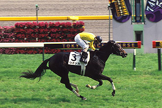 JRAホームページ｜データファイル｜競走成績データ