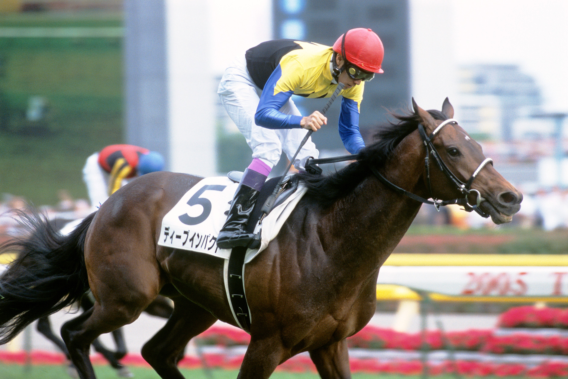 ディープインパクト｜3分でわかった気になる名馬 JRA