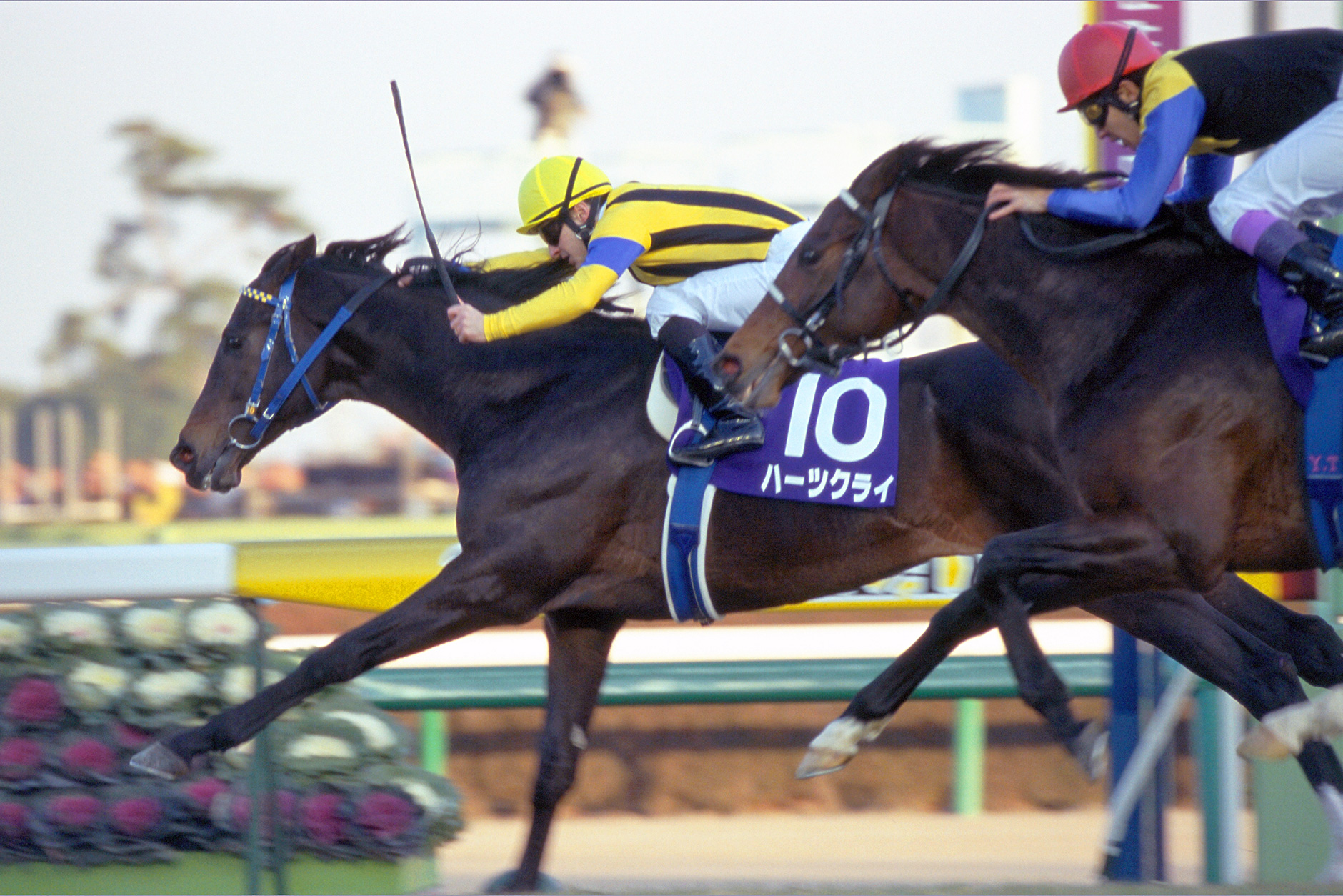 ハーツクライ｜3分でわかった気になる名馬 JRA