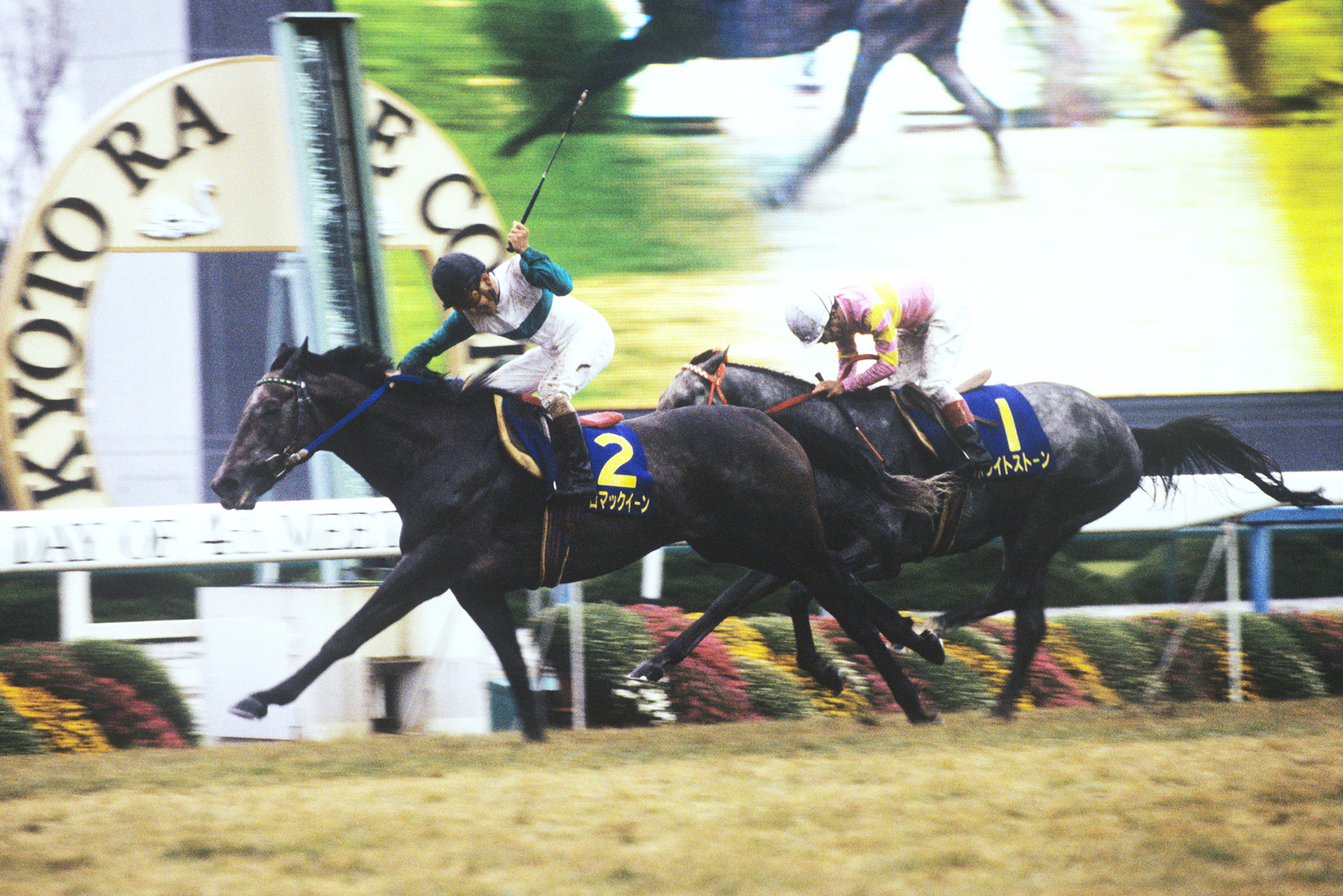 メジロマックイーン｜3分でわかった気になる名馬 JRA