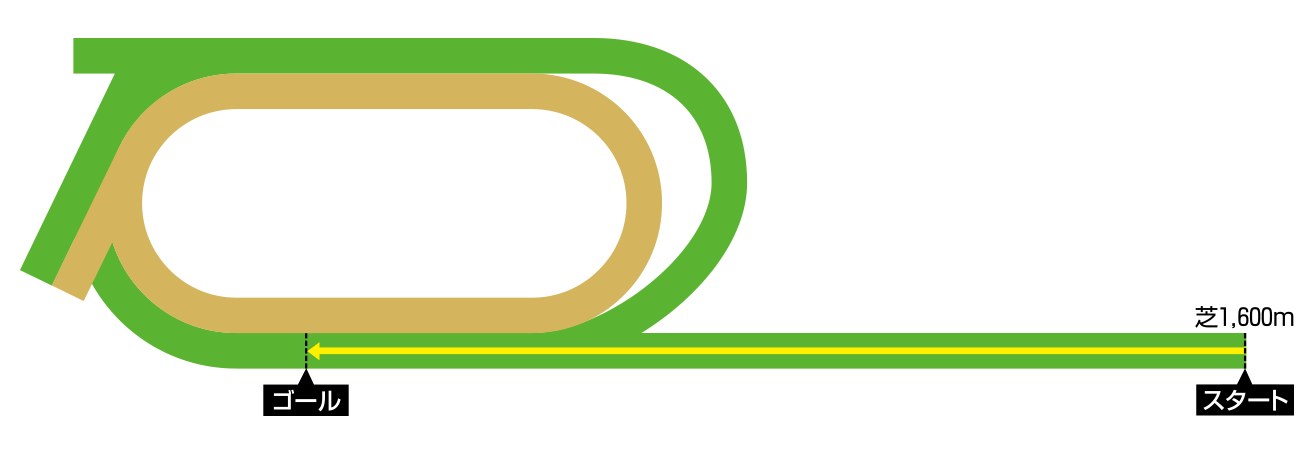 ドーヴィル競馬場（競馬場・コース紹介） フランス競馬 各国の競馬