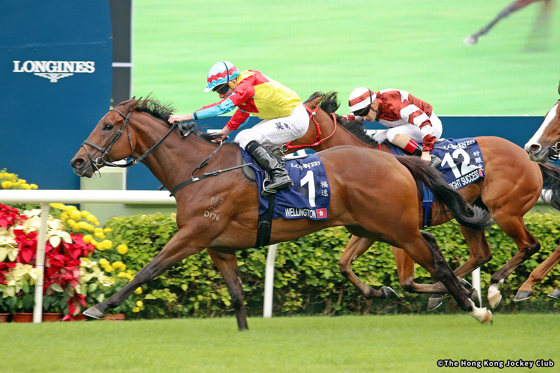 レース概要｜レース情報：2025年香港スプリント 海外競馬発売 JRA