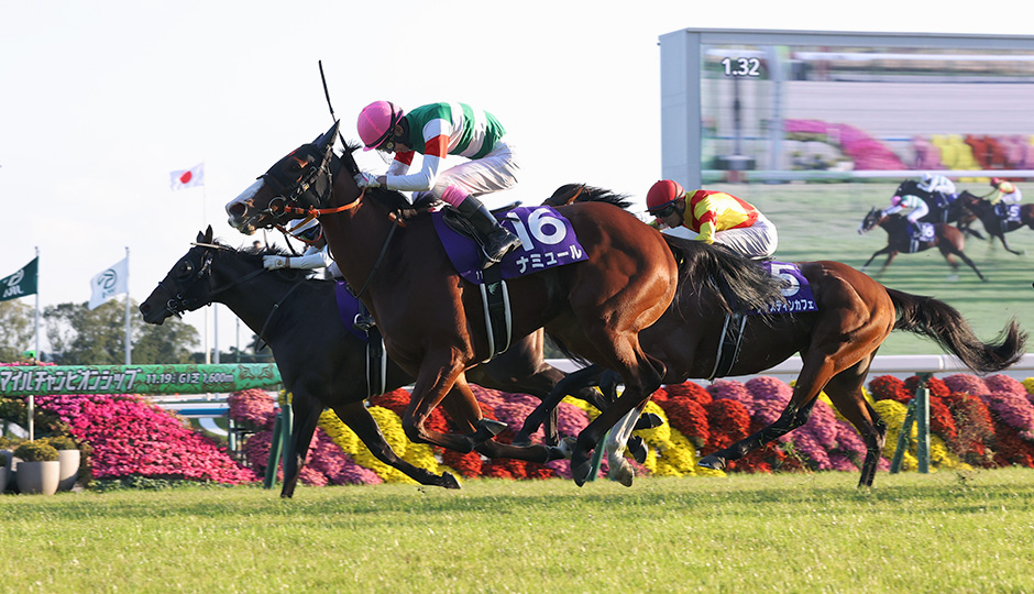 2026年マイルチャンピオンシップ（GⅠ） JRA