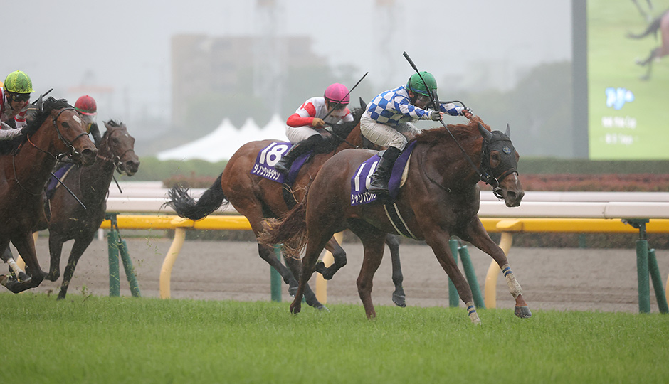 歴史・コース：NHKマイルカップ 今週の注目レース JRA