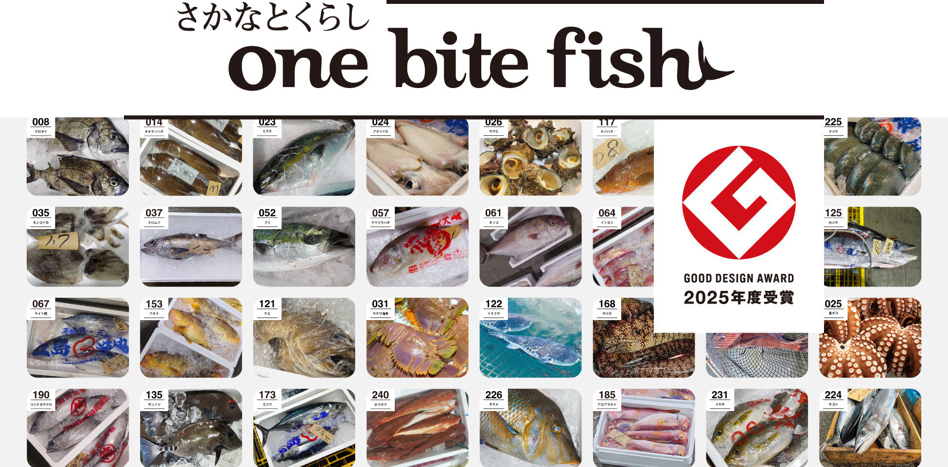 長崎の魚種多様性に新たな価値を提案 冷凍刺身の定期便サービス