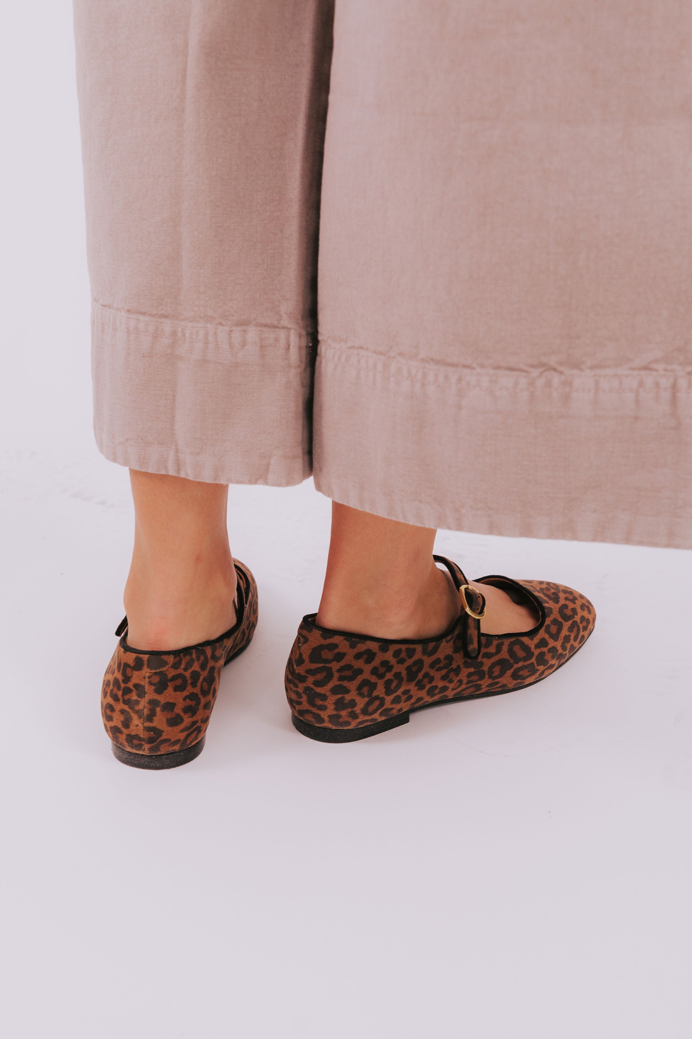 SEYCHELLES - Magnolia Flat