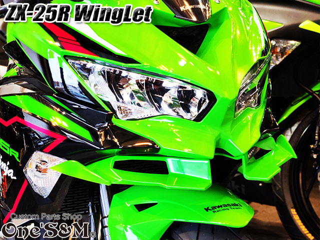 ZX-25R Ninja ディフューザー ウイングレット フロント カナード