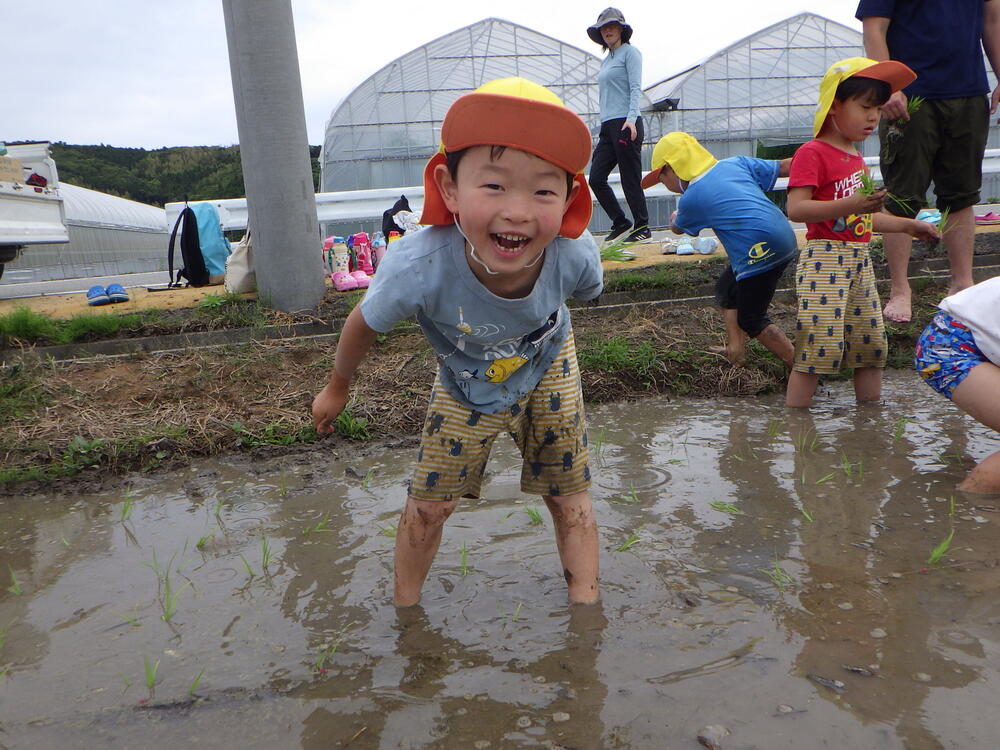 田植えをしました☆ | 相愛保育園