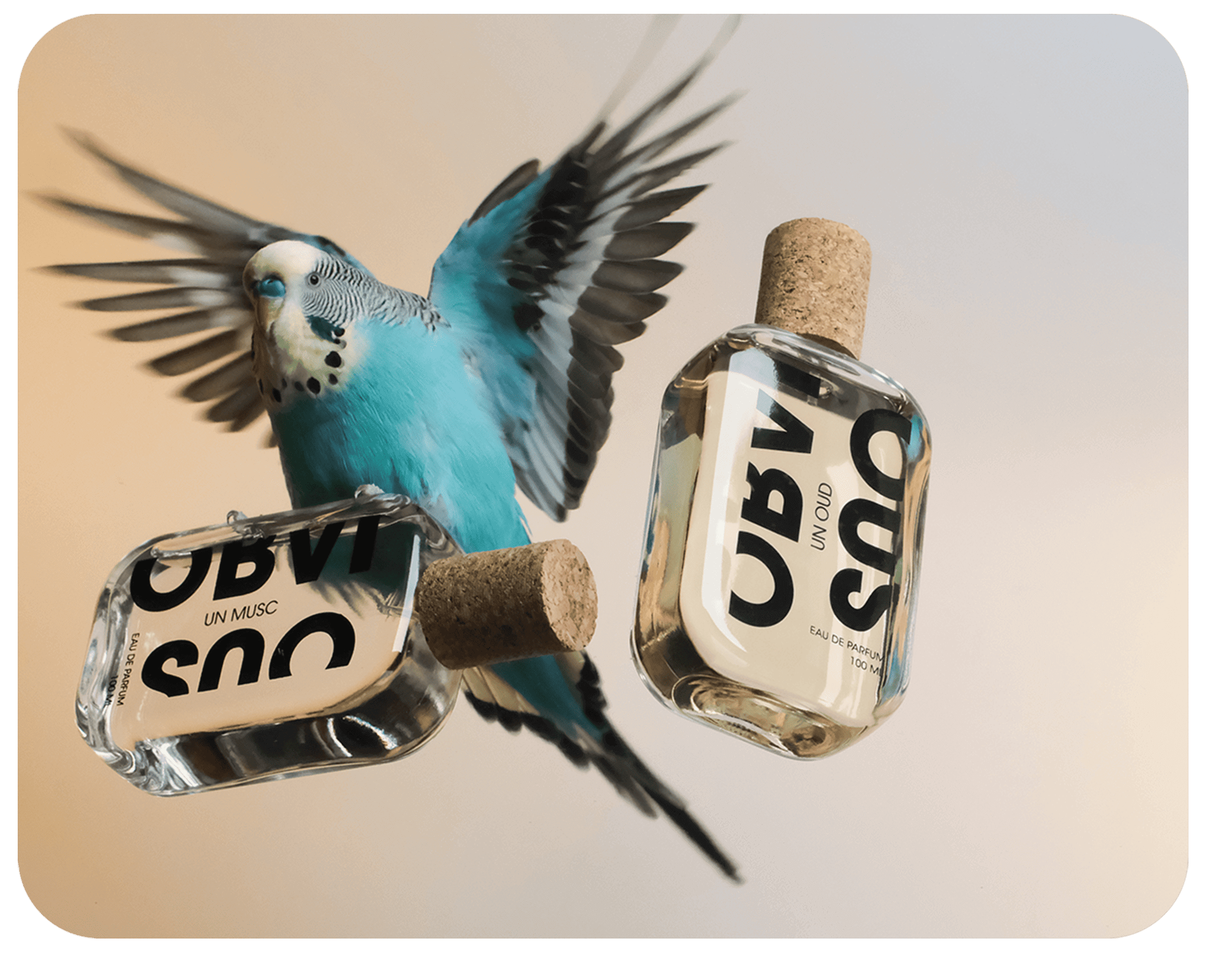 OBVIOUS UN ÉTÉ Eau de Parfum 100ml Une Ete Obvious: The Perfect