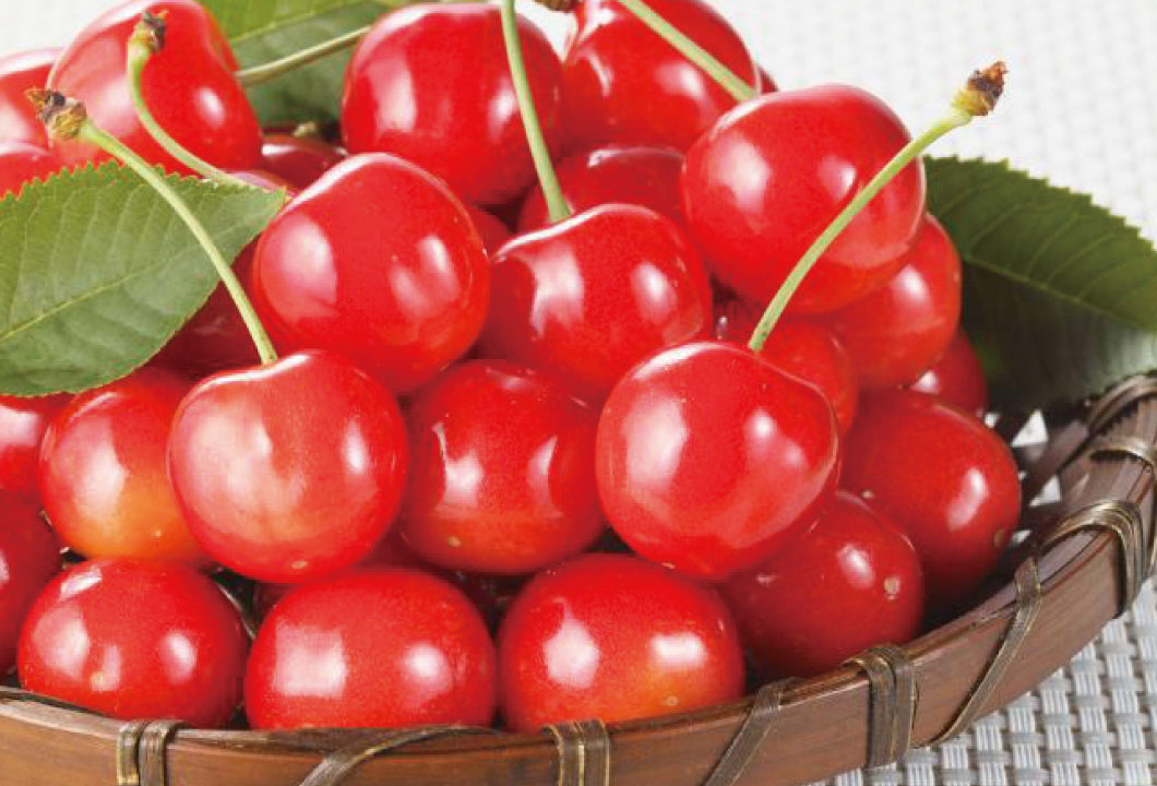 サクランボ｜JA山形おきたま 山形おきたま農業協同組合