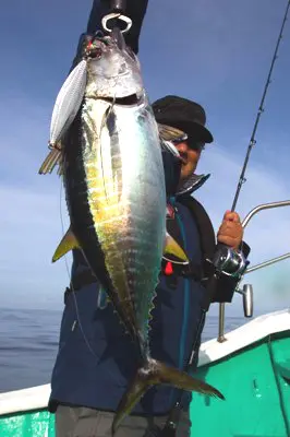 ソルティガ BJ AGS 64B-3 ソルティガ BJ AGS 64B-3 - 53,300円 : 海