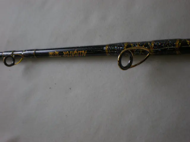 アリゲーター竿入門に！】カイユウSQ 195 - 83,600円 : 海釣り、船釣り