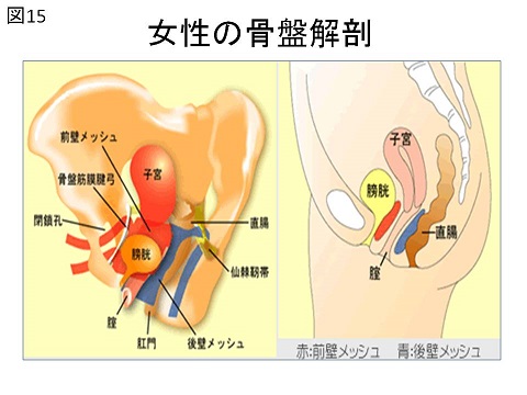 泌尿器科 - 診療科・部門案内 ｜ 大垣市民病院