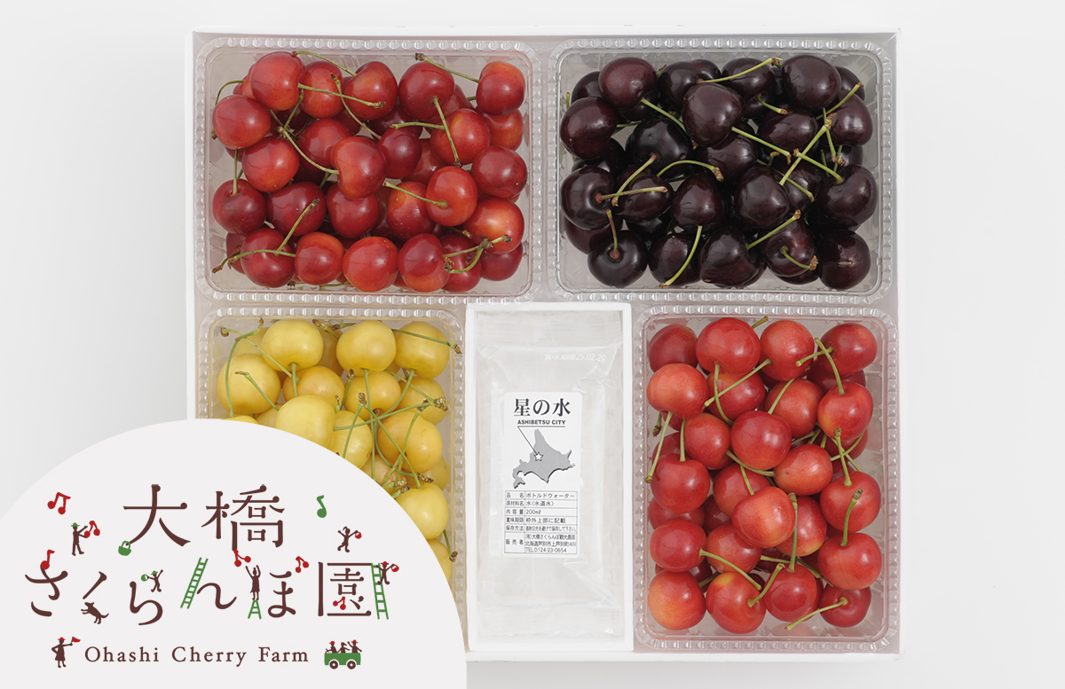 さくらんぼ通販 4色セット通販｜さくらんぼ通販なら大橋さくらんぼ園