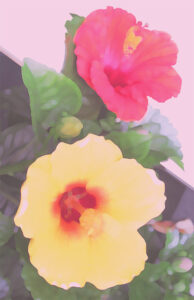 大薮雅孝 | 作品一覧 絵画など美術品の販売と買取 | 東京・銀座 おいだ美術