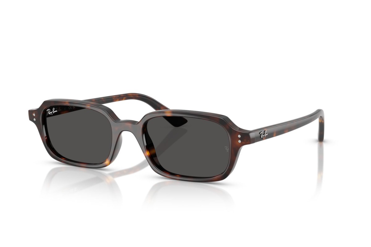 Sunglasses Ray-Ban Zuri RB 4455 (135987) RB4455 Unisex | Free