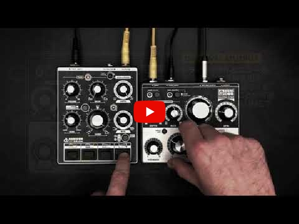 BenidubのダブエコーDIGITAL ECHOをご紹介いたします。