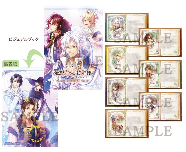 猛獣たちとお姫様 for Nintendo Switch｜製品情報｜製品情報