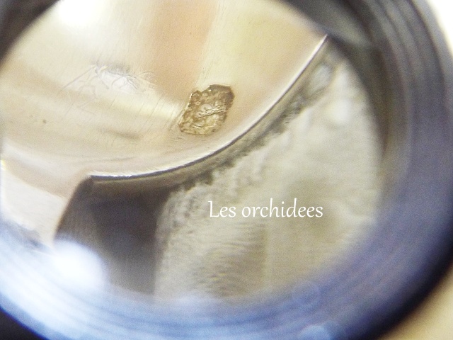 フランス アンティーク 19世紀初頭 純銀 tea/coffee スプーン veyrat