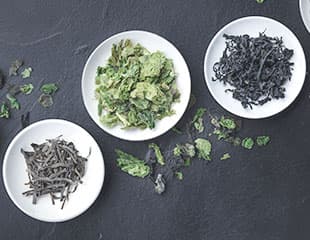 The Master Drink!!について | オーガニックメンテナンス株式会社