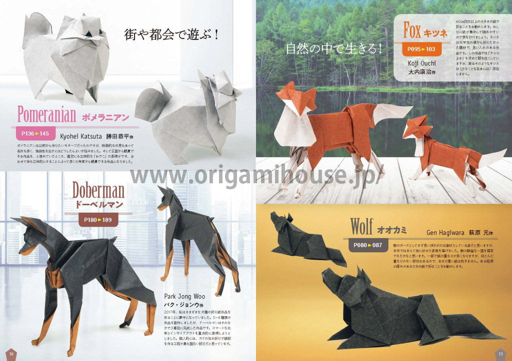 山口真の本 - 新世代 至高のおりがみ