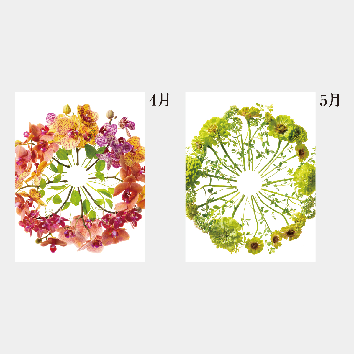 NC-203 卓上・花グラフィックアート(川崎景太作品集)2026年版の名入れ