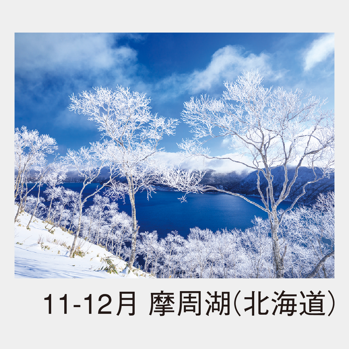 NK-18 春夏秋冬〔メモ付〕2026年版の名入れカレンダーを格安で販売