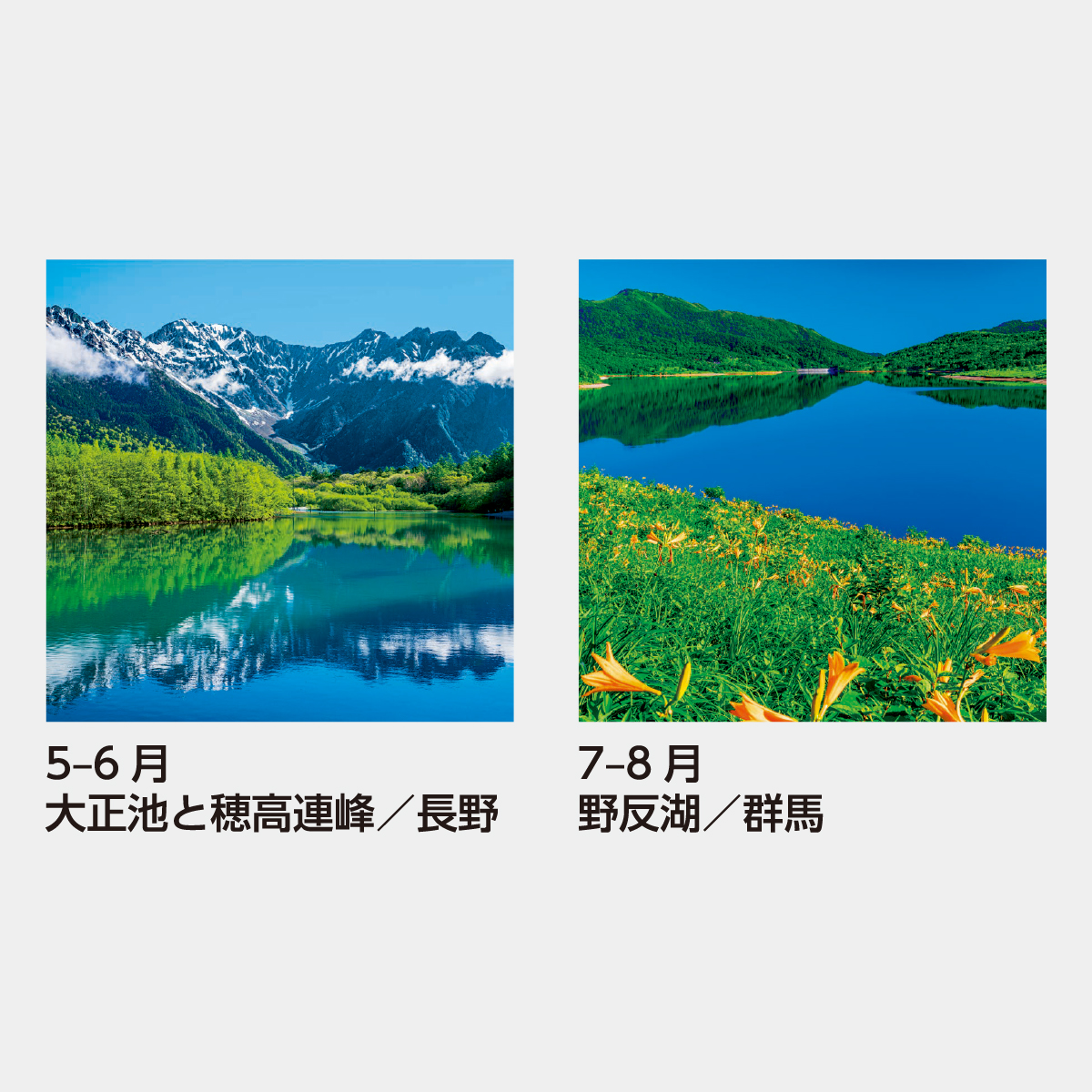 SB-252 【フィルム】美しい水辺2026年版の名入れカレンダーを格安で