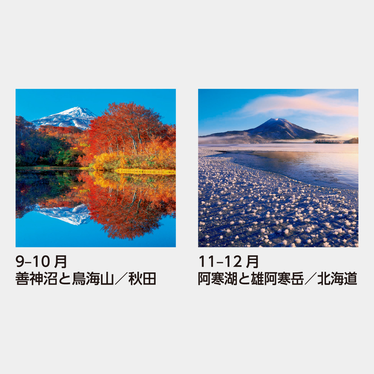 SB-252 【フィルム】美しい水辺2026年版の名入れカレンダーを格安で